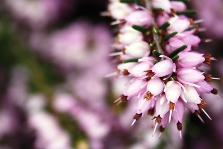 Post image for My Third Act and Friday Fave Five