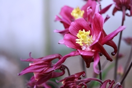 Post image for Adoptee Anger