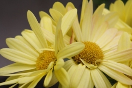 Post image for What I Know For Sure