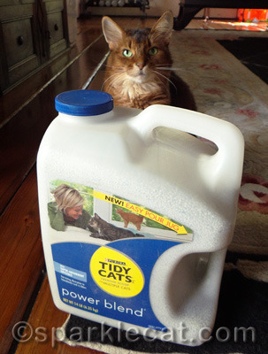 Whew! I would have been SO embarrassed if my human had left the jug backwards.