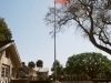 Flag-with-a-stiff-north-wind