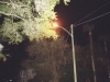 A-cemetery-streetlight-at-night