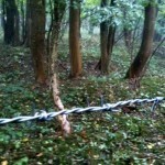 graves and memorials along the western front