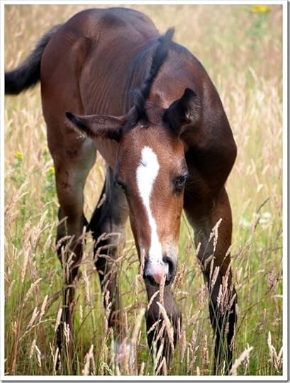 15 July 1 15-07-2013 12-15-26