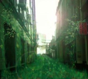 Post-apocalypse the plants claim everything for a while...