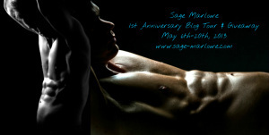 SM Banner blog tour May13