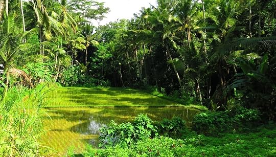 Bali 7.27-8.2.13 136