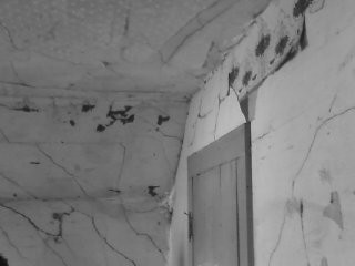 28193_1189816965490_7632087_n