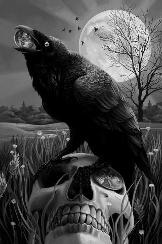 181048_501890813190666_1101408845_n