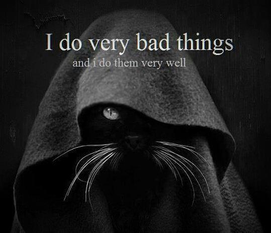 316298_643154875701033_178011194_n