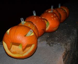 Pumpkin03