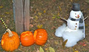 Pumpkin22