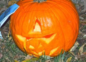 Pumpkin23