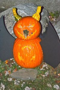 Pumpkin31