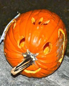 Pumpkin41