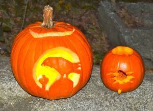 Pumpkin46