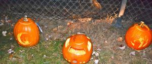 Pumpkin54