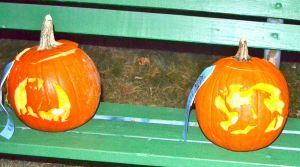 Pumpkin58