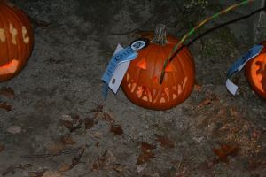 Pumpkin67