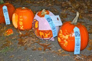 Pumpkin73