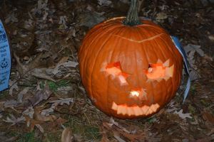 Pumpkin75