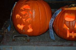 Pumpkin95
