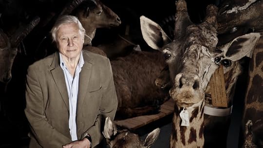 attenborough03-071212.jpg