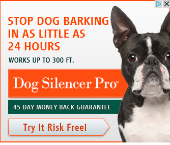 stop barking