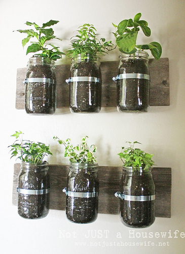 mason jars
