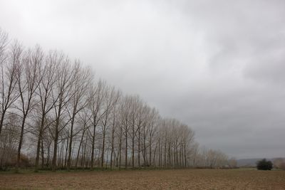 DSC00974