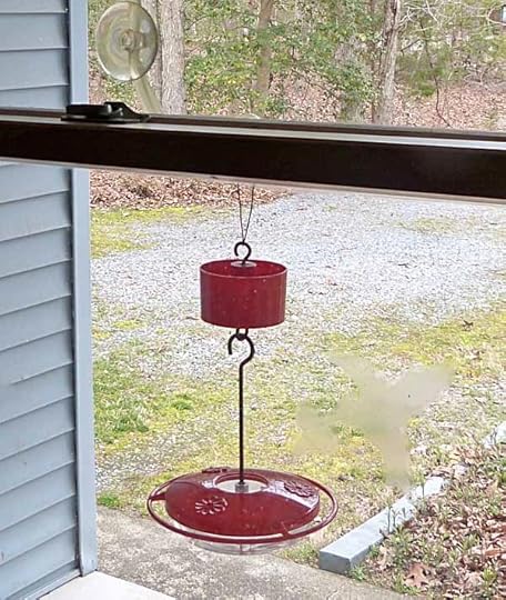 FrontHummerFeeder