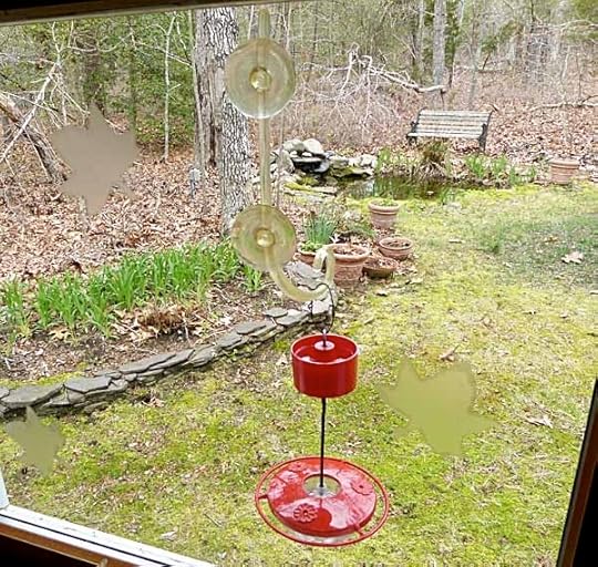 BackHummerFeeder