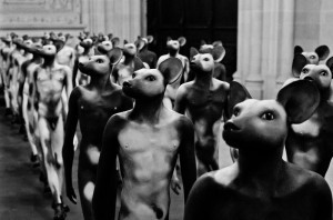 humans
