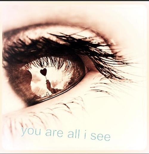  photo torn8_zps83b4da4e.jpg