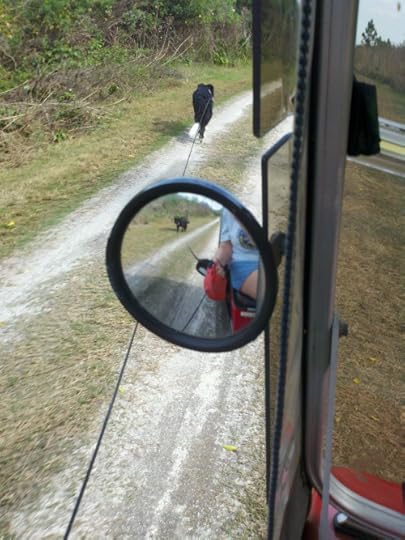 2013-02-25_15-07-29_191