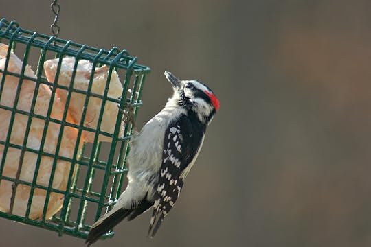 Click to visit the original post