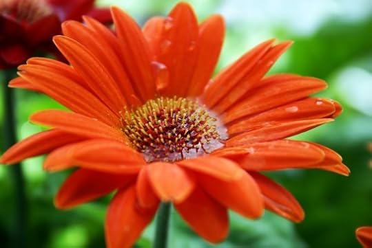 Click to visit the original post