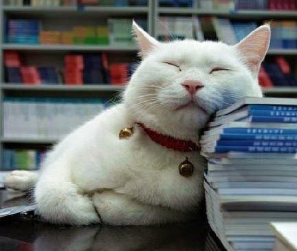 Click to visit the original post