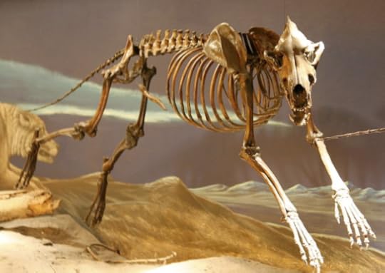 Click to visit the original post