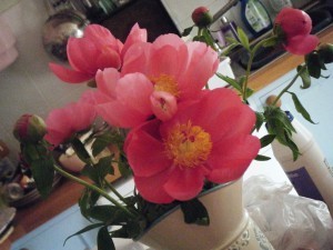 DSCF3655