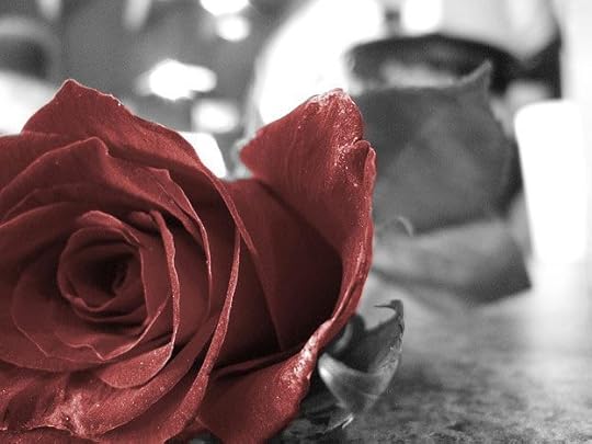  photo cdc731d52a34292d288d5ec514ab9977_zps7a3ca03a.jpg