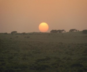 desert3 sun1