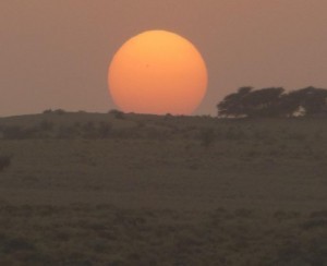 desert4 sun2