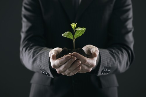 CEOs can nurture the talent pipeline