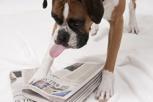 2009-10-21_020 (use on buzz page)