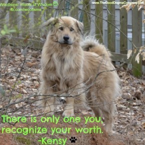 recognizekensydirtpile DSC2021 290x290 Woofisms: Woofs of Wisdom© funny dog blog