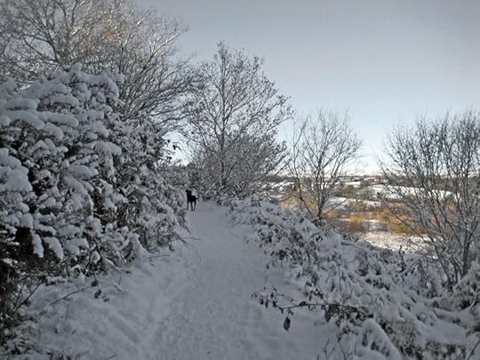 Tilly ath to the village Commons