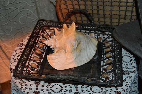 cabinmermanconch
