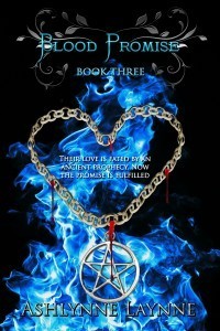 AA BLOOD PROMISE E-BOOK COVER