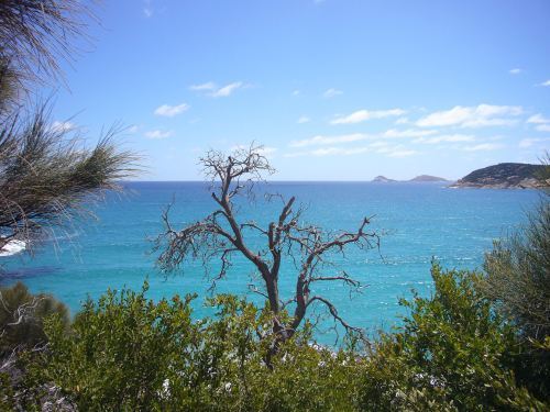 Wilsons Promontory 3
